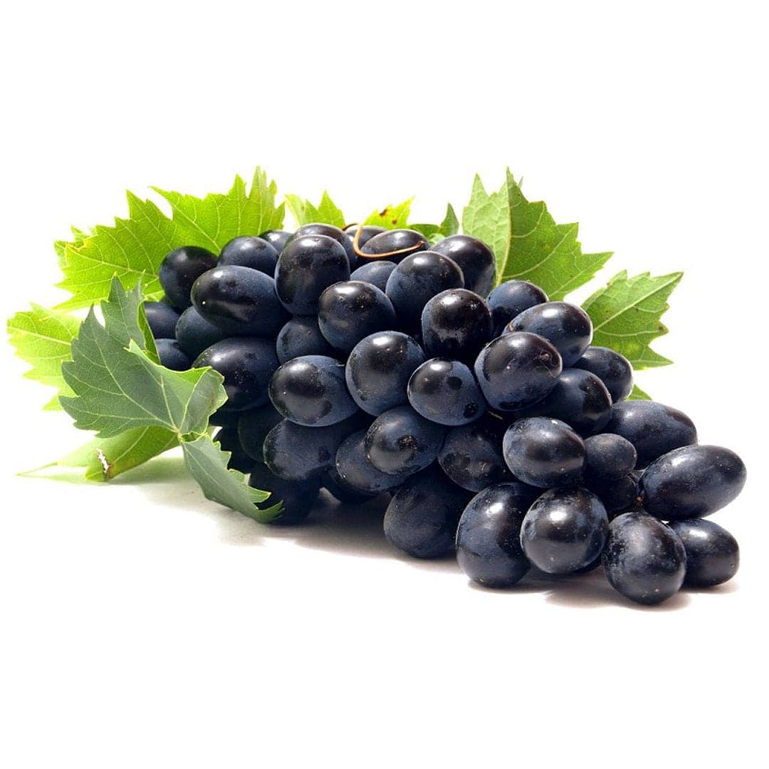 Black Grapes 1kg Stockists.