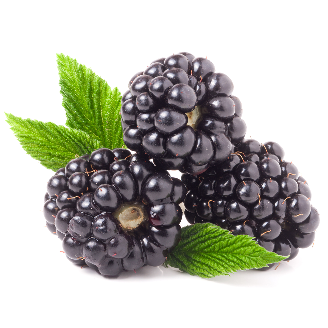 Blackberries 125 gr Stockists.