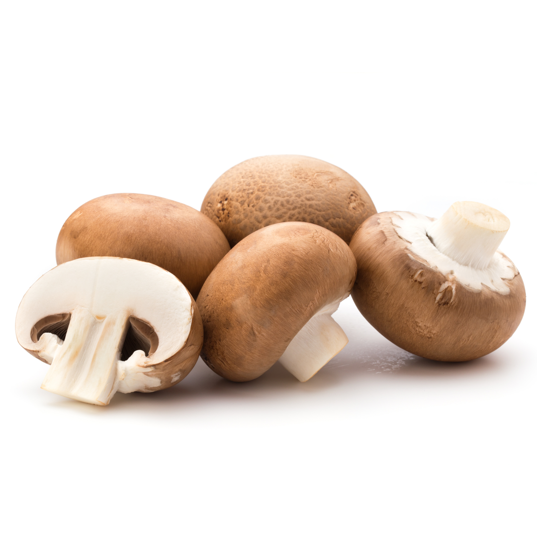 Chestnut Mushroom 500 gr Stockists.