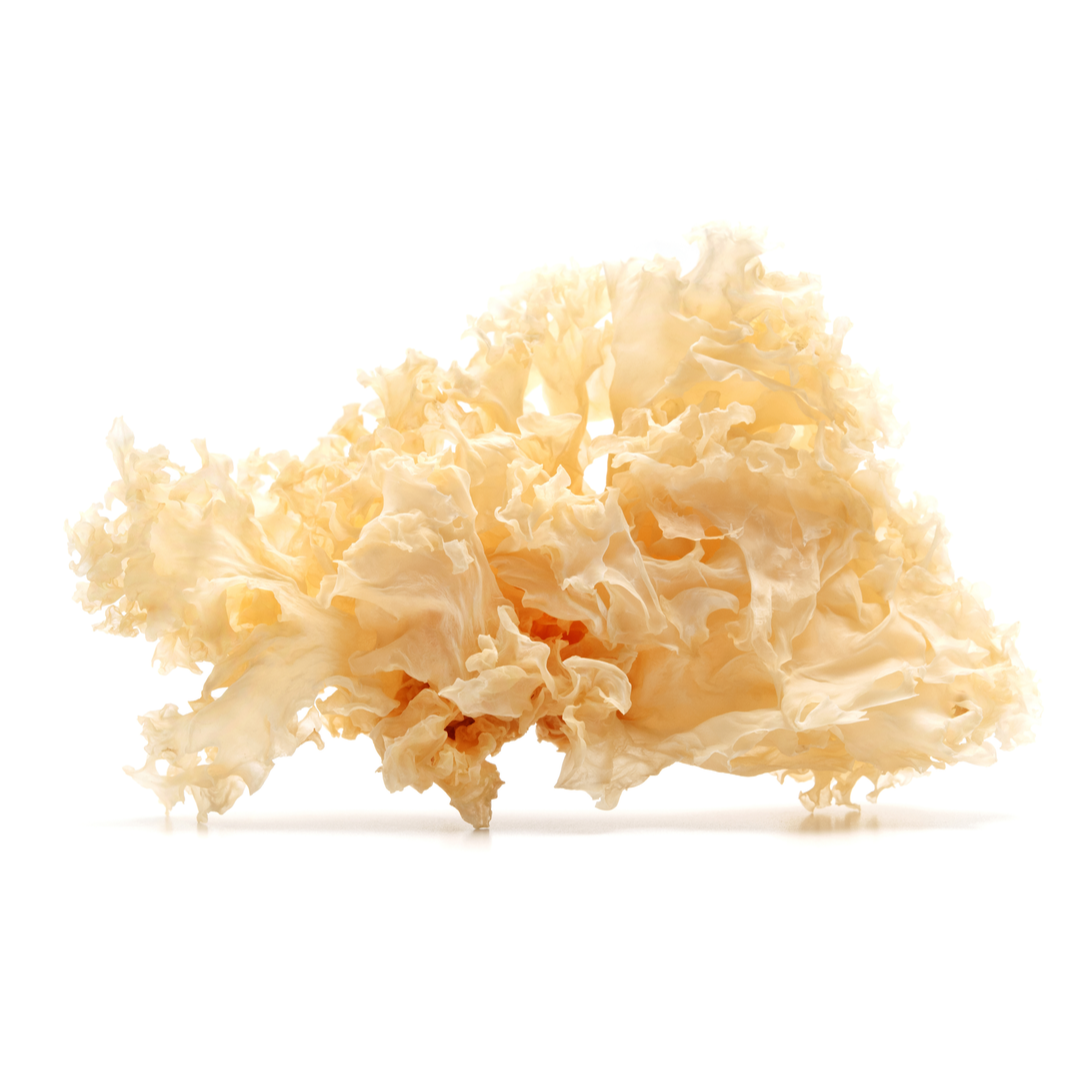 Dried White Fungus 100gr Stockists.