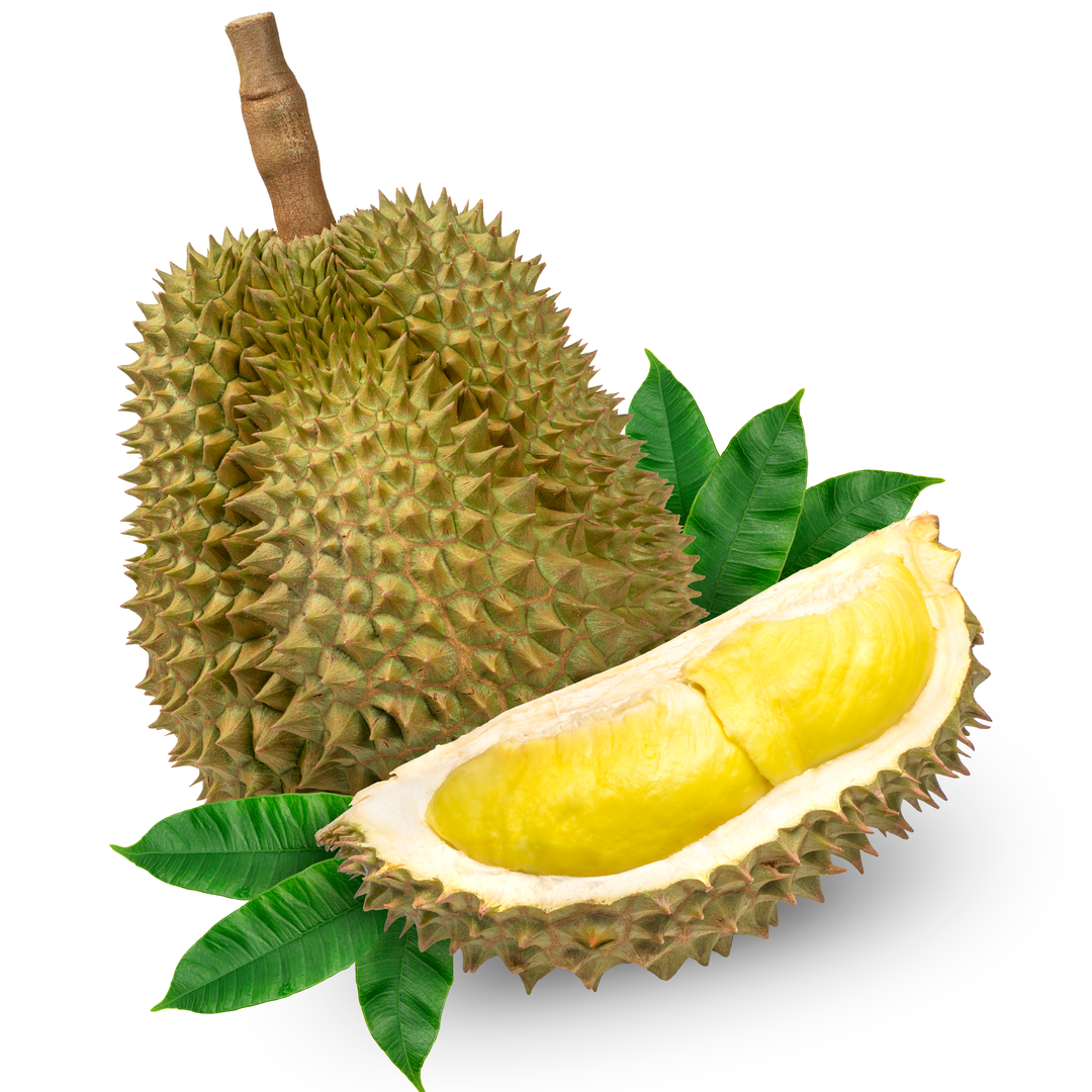 Durian Whole Fresh Import from Thailand 2.2 2.8kg Stockists.