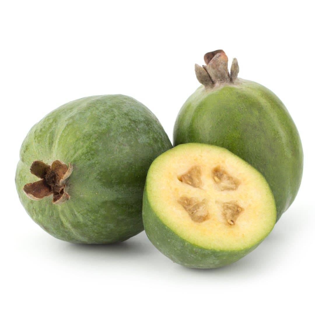 Feijoa Pineapple Guava 250gr Stockists.