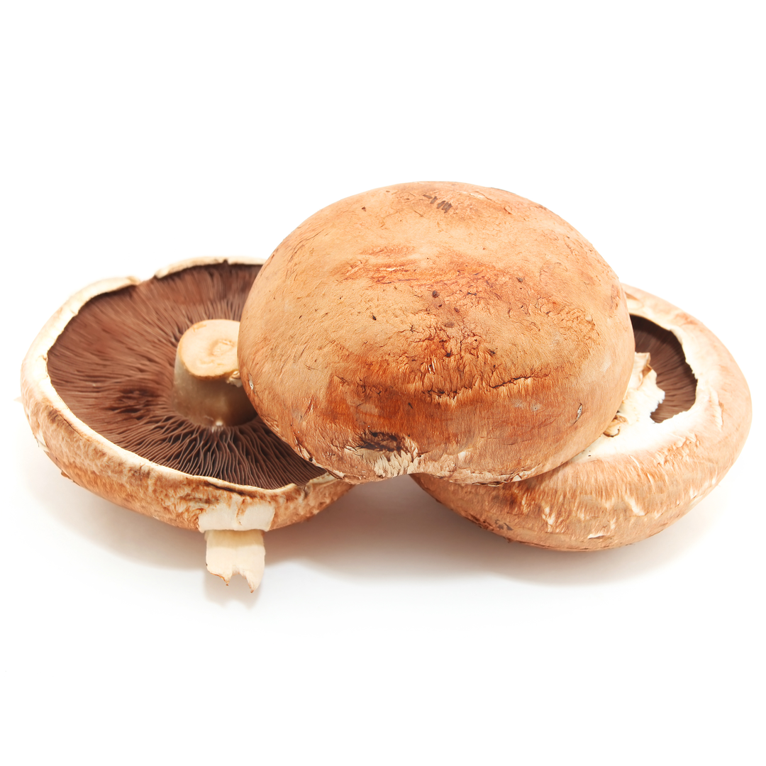 Flat Mushrooms x 2 Stockists.