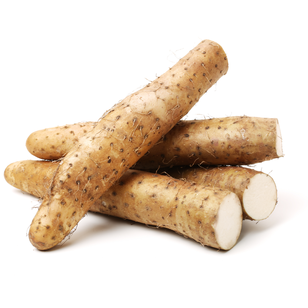 Fresh Iron Roll Nagnimo Root 200 300gr Stockists.