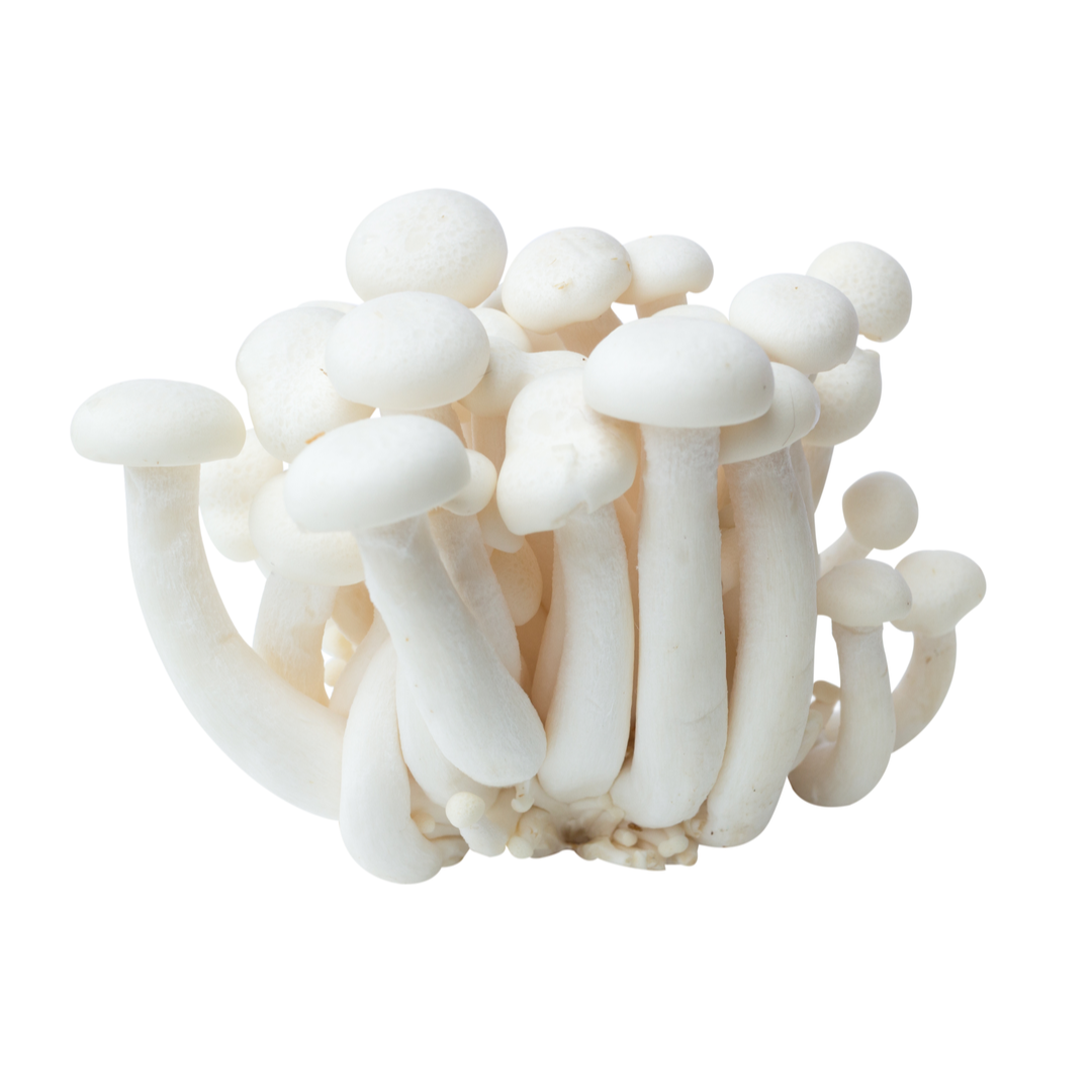 Fresh Pak Yuk Mushrooms White Shimeji 150gr Stockists.