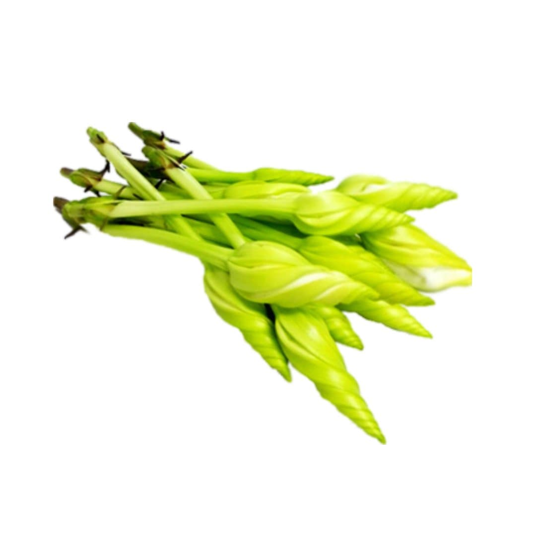 Fresh Thai Dok Pak Dew Moon Flower 100gr Stockists.