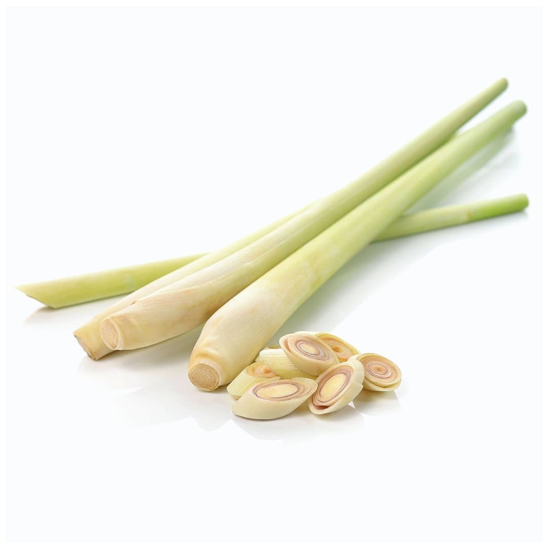 Fresh Thai Lemon Grass 100gr Stockists.