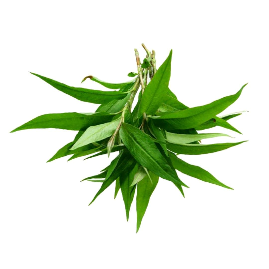 Fresh Thai Praew Leaf Laksa 100gr Stockists.