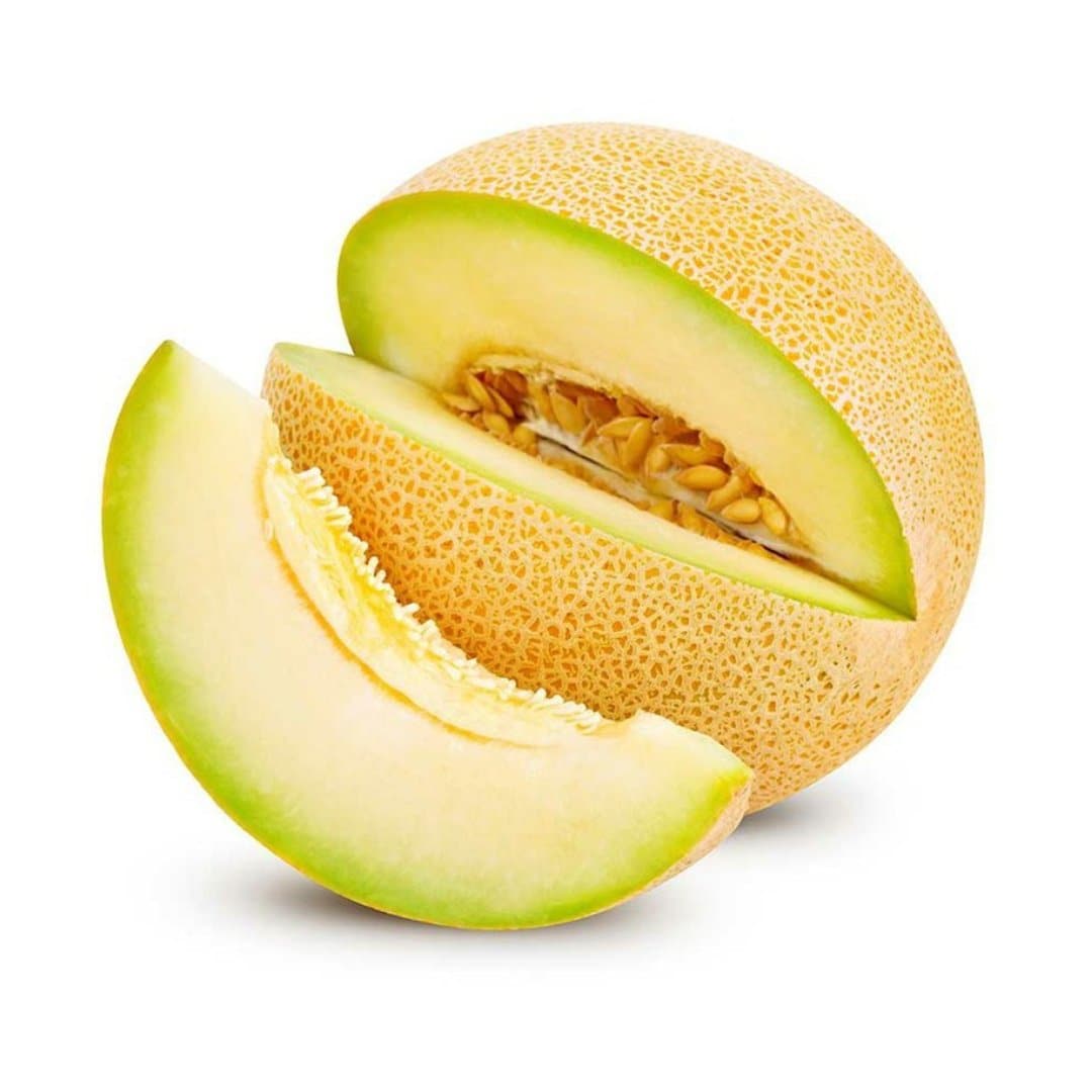 Galia Melon 1 Unit Stockists.