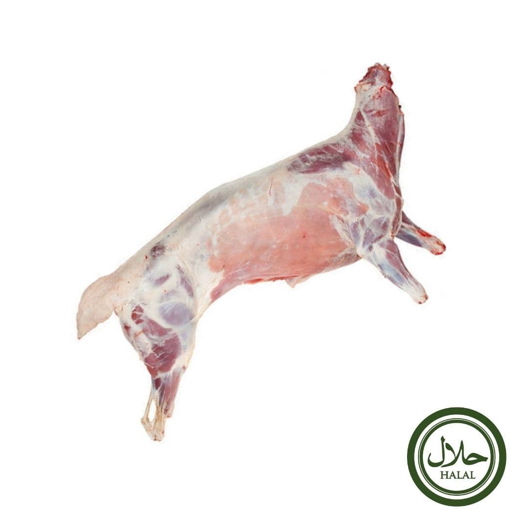 Halal Grass Fed Freshly Frozen Whole Baby Goat 6 9kg Stockists.