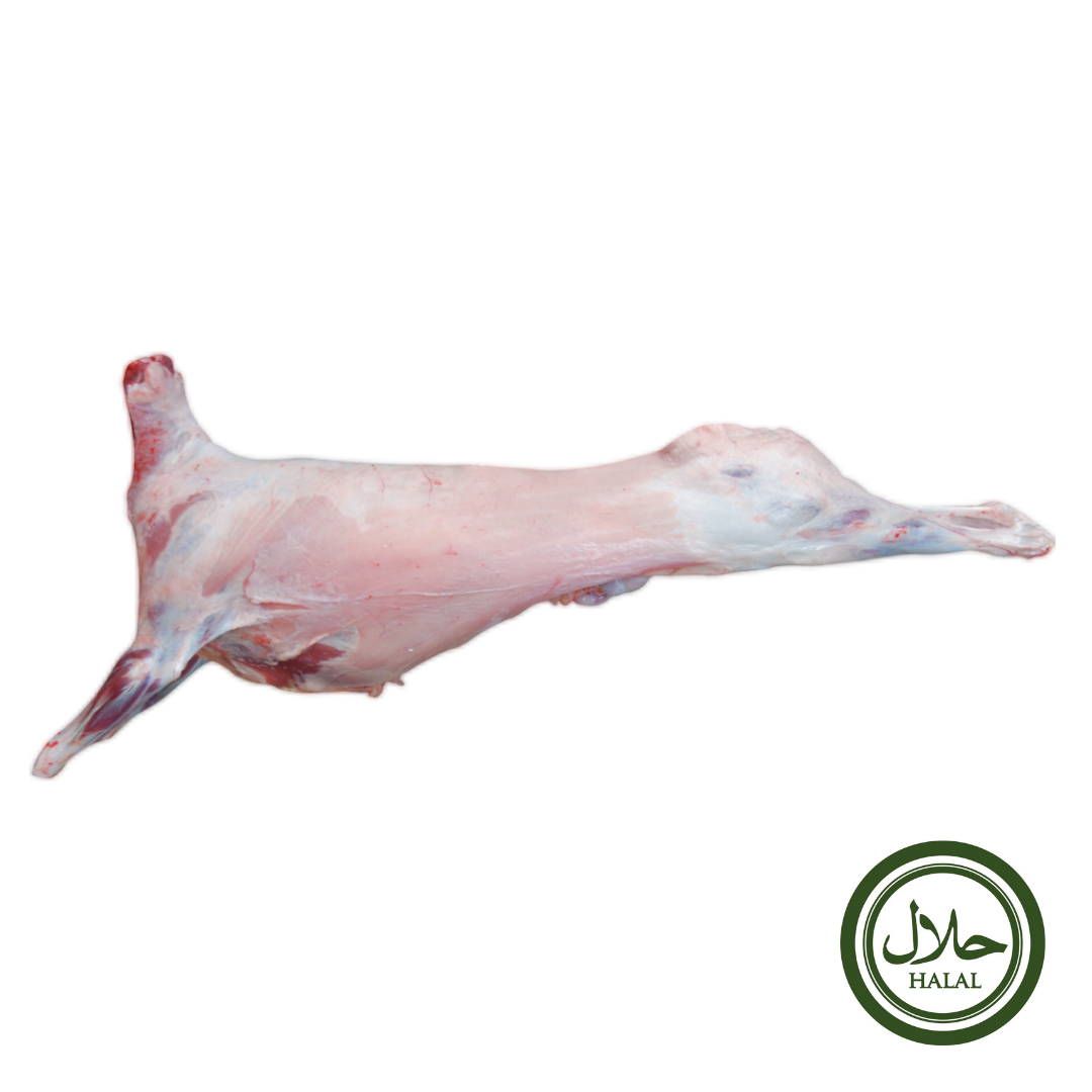 Halal Grass Fed Freshly Frozen Whole Sheep 30 35kg Stockists.