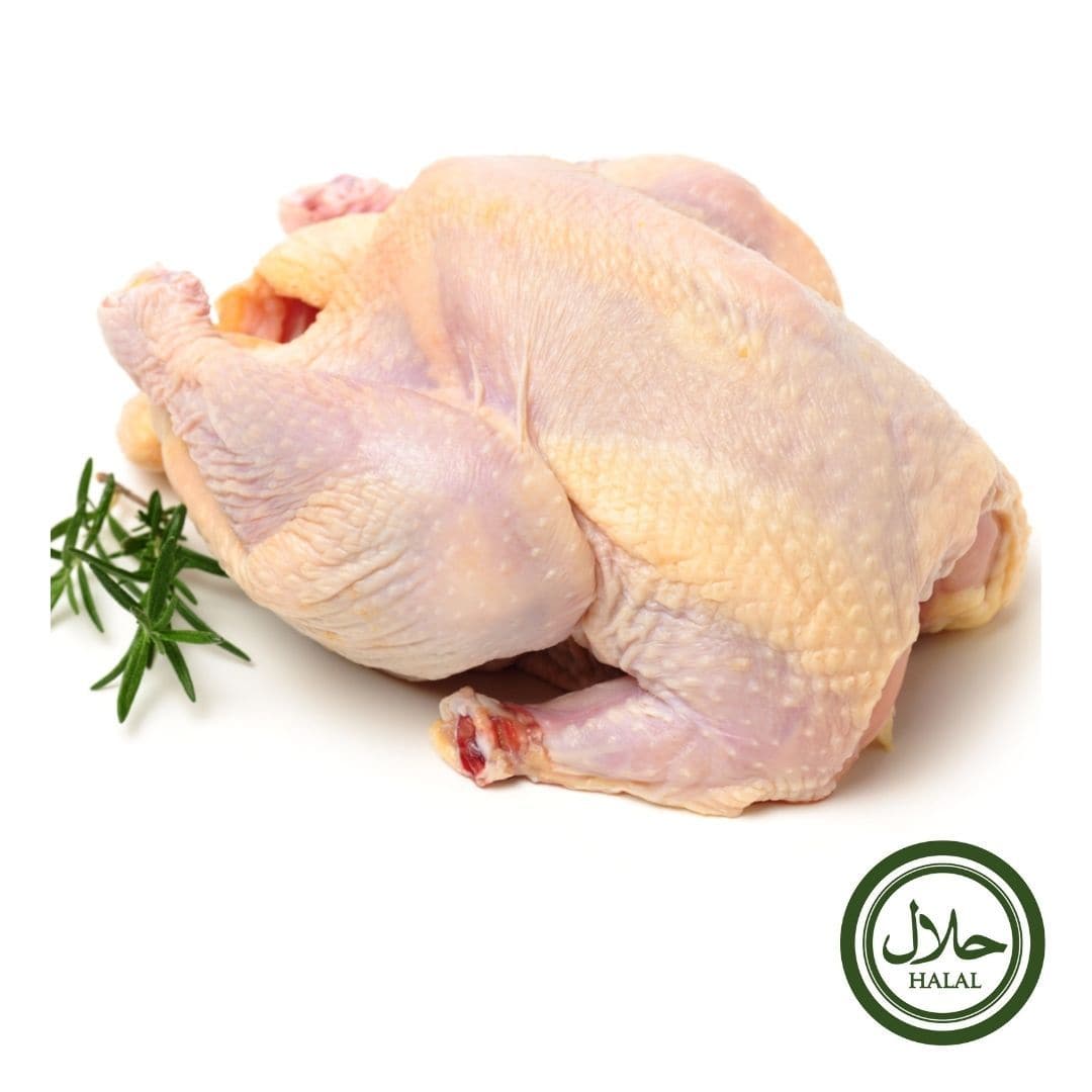 Halal Hen Chicken Whole 1.4kg Stockists.