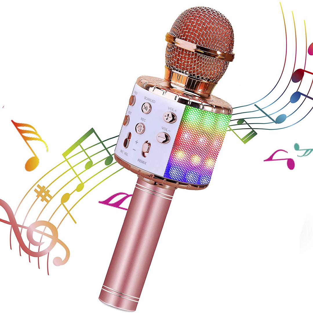 Karaoke Microphone Perfect Gift for 6 Year Old Girls Stockists.