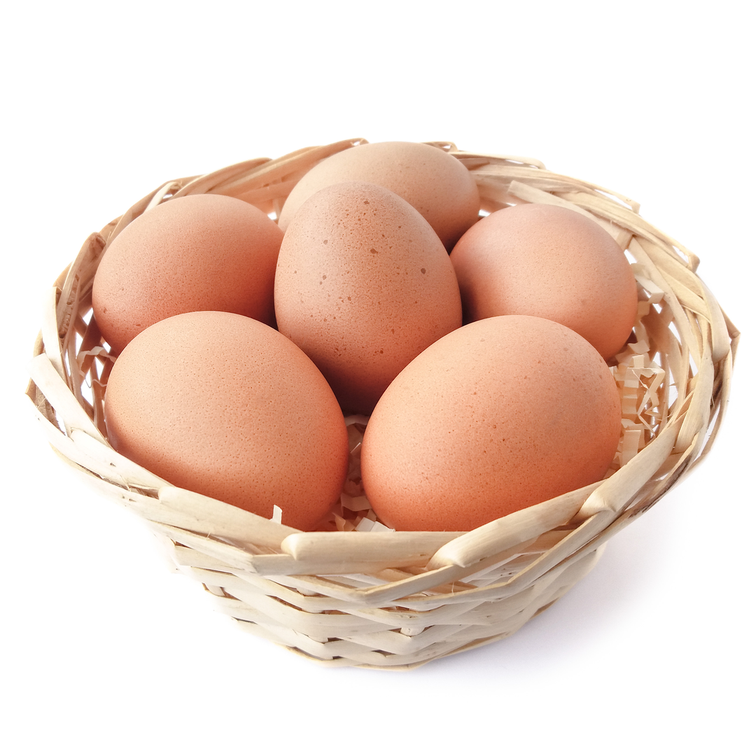 Organic Free Range Eggs 6 Pack Stockists.