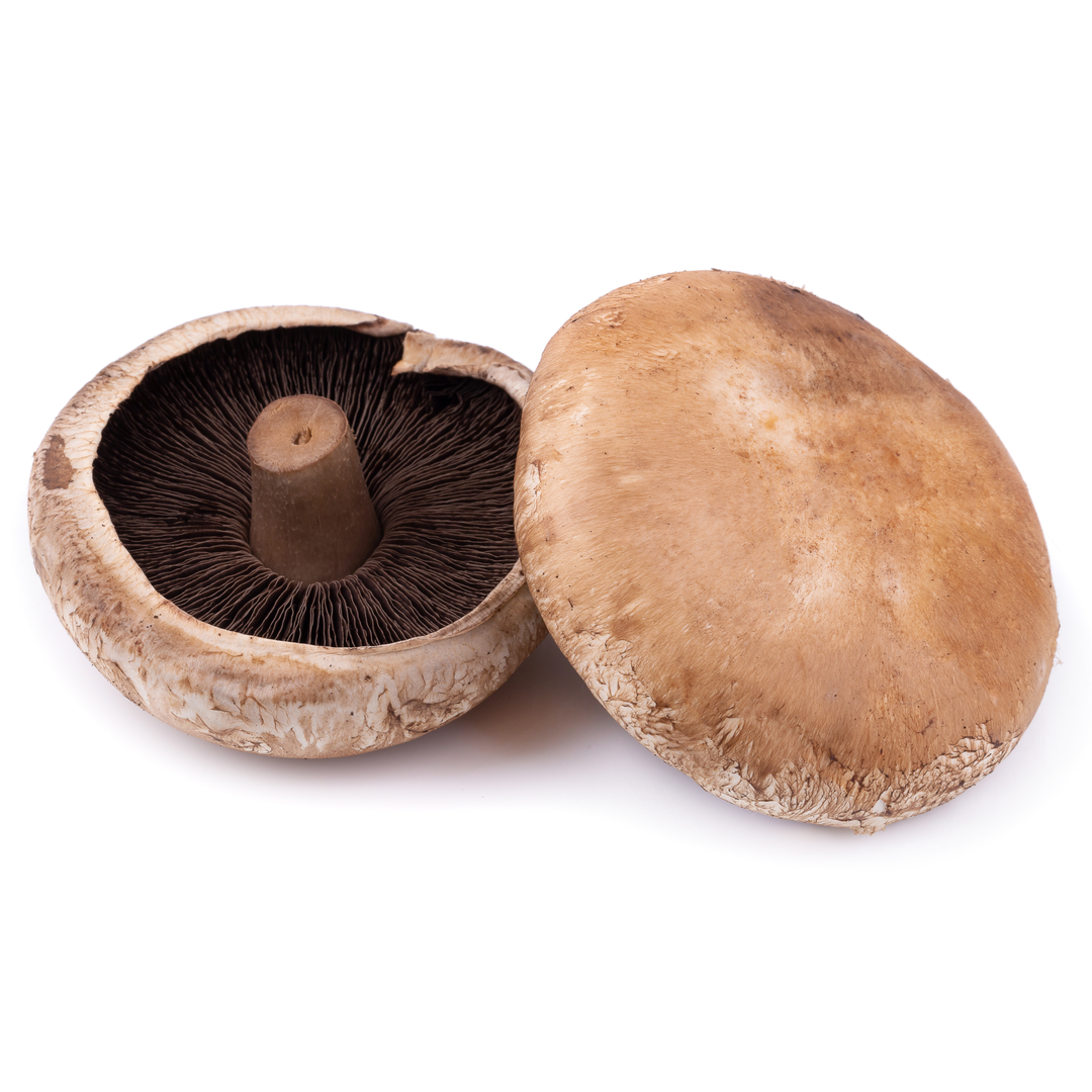 Portobello Mushroom 2 pieces Stockists.