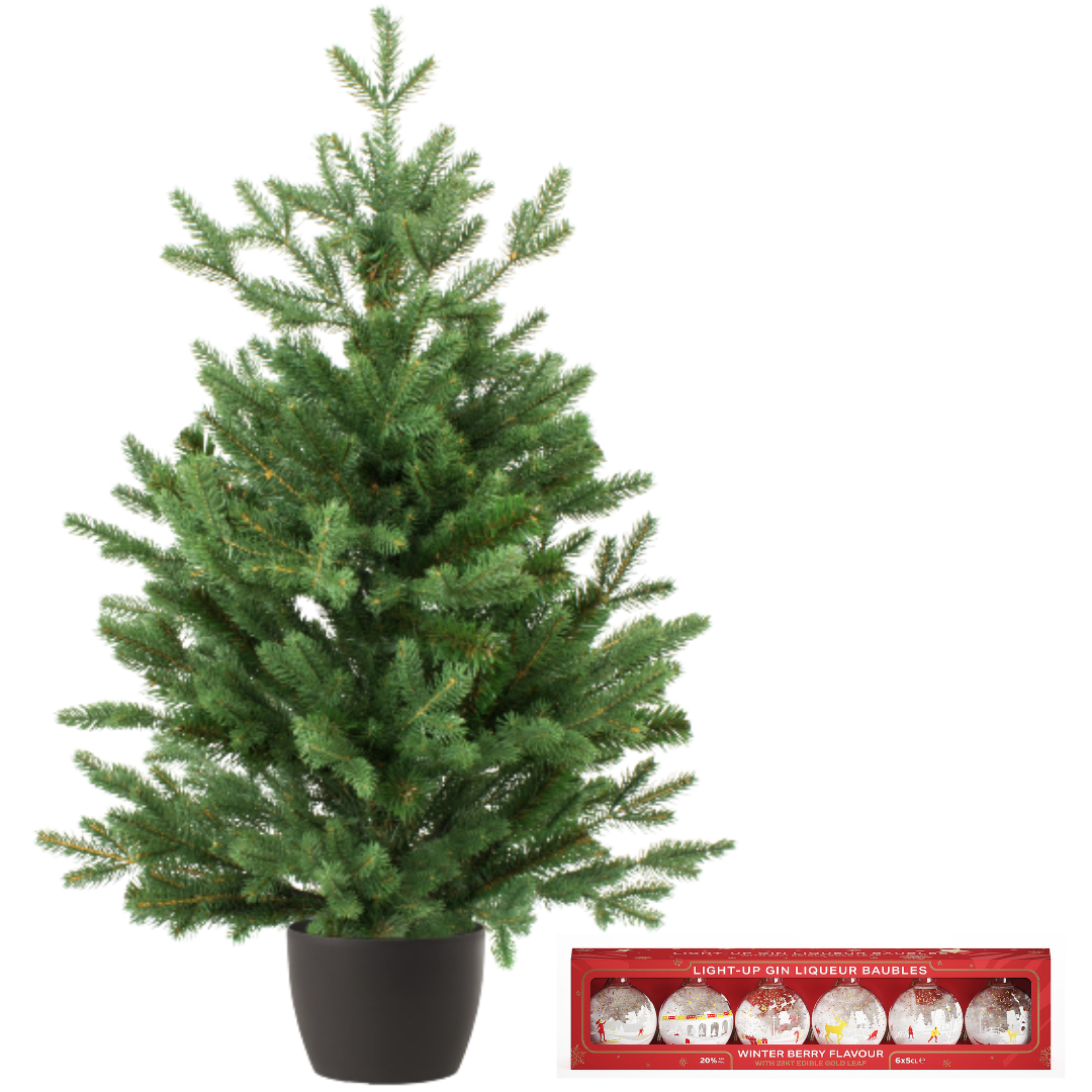 Real and Live Christmas Tree 23 ft with Light Up Gin Liqueur Baubles Hamper Gift Box Stockists.