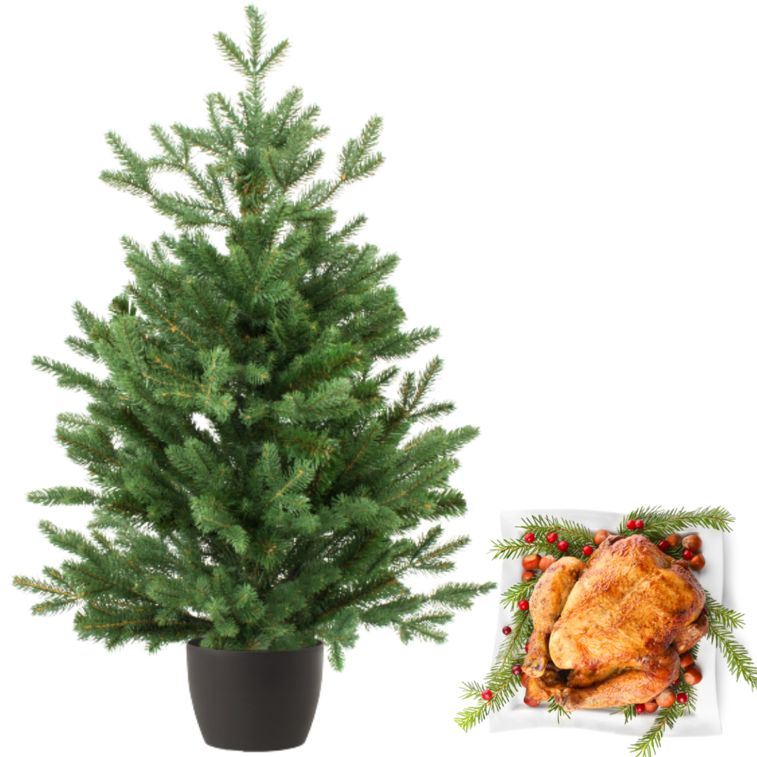 Real and Live Christmas Tree 23 ft with Whole British Turkey Hamper Gift Box Stockists.