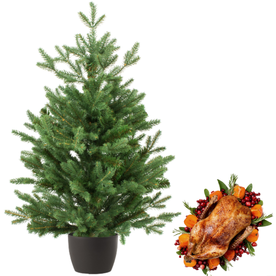 Real and Live Christmas Tree 23 ft with Whole Duck Hamper Gift Box Stockists.