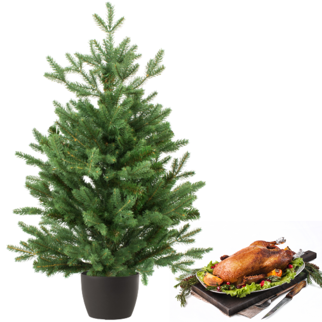 Real and Live Christmas Tree 35 ft with Whole British Goose Hamper Gift Box Stockists.