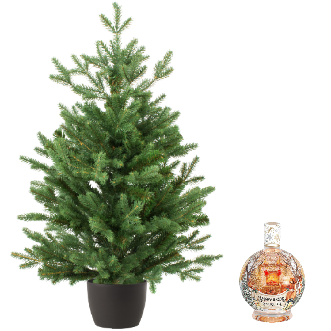 Real and Live Christmas Tree 810 ft with Snowglobe Gin Liqueur Hamper Gift Box Stockists.