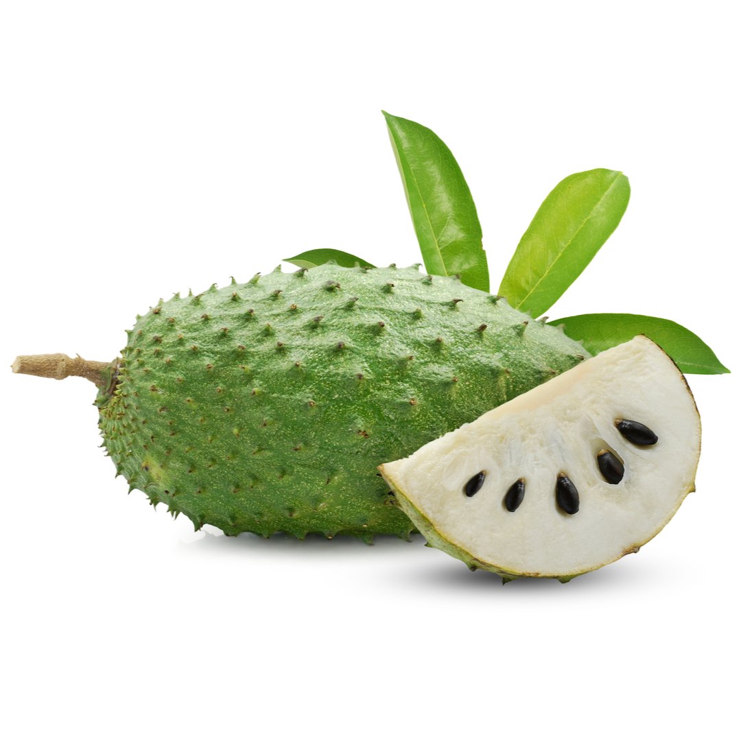Soursop Graviola Whole Stockists.