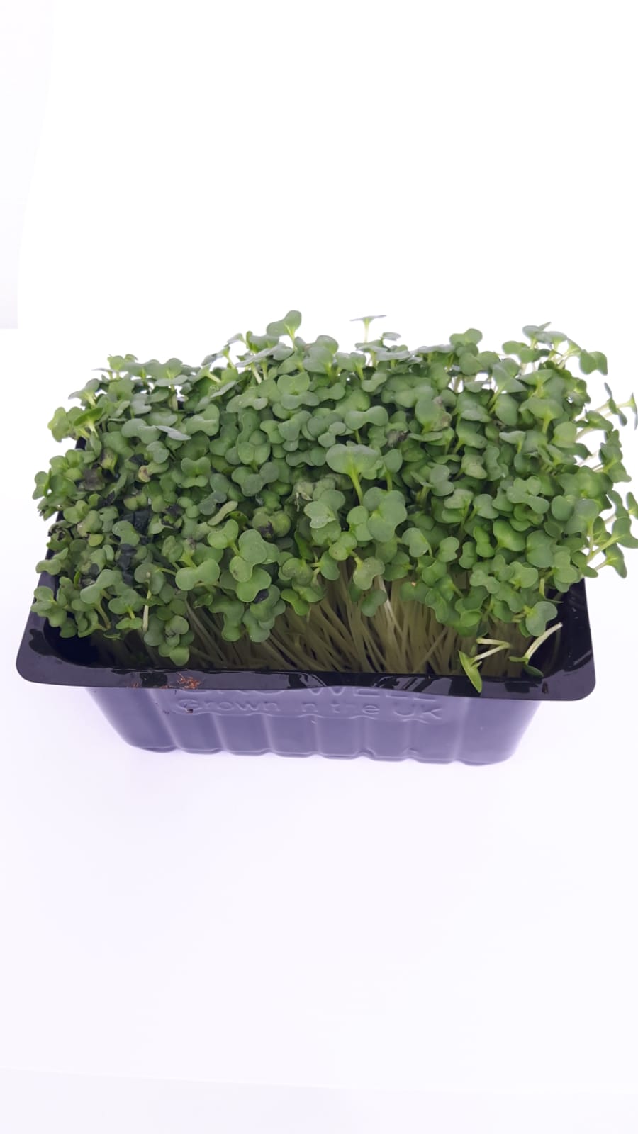 Watercress 1 bunch Stockists.