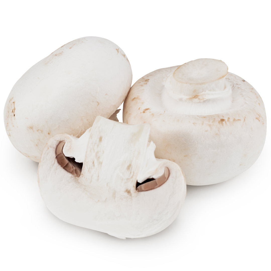 White Button Mushroom 500 gr Stockists.